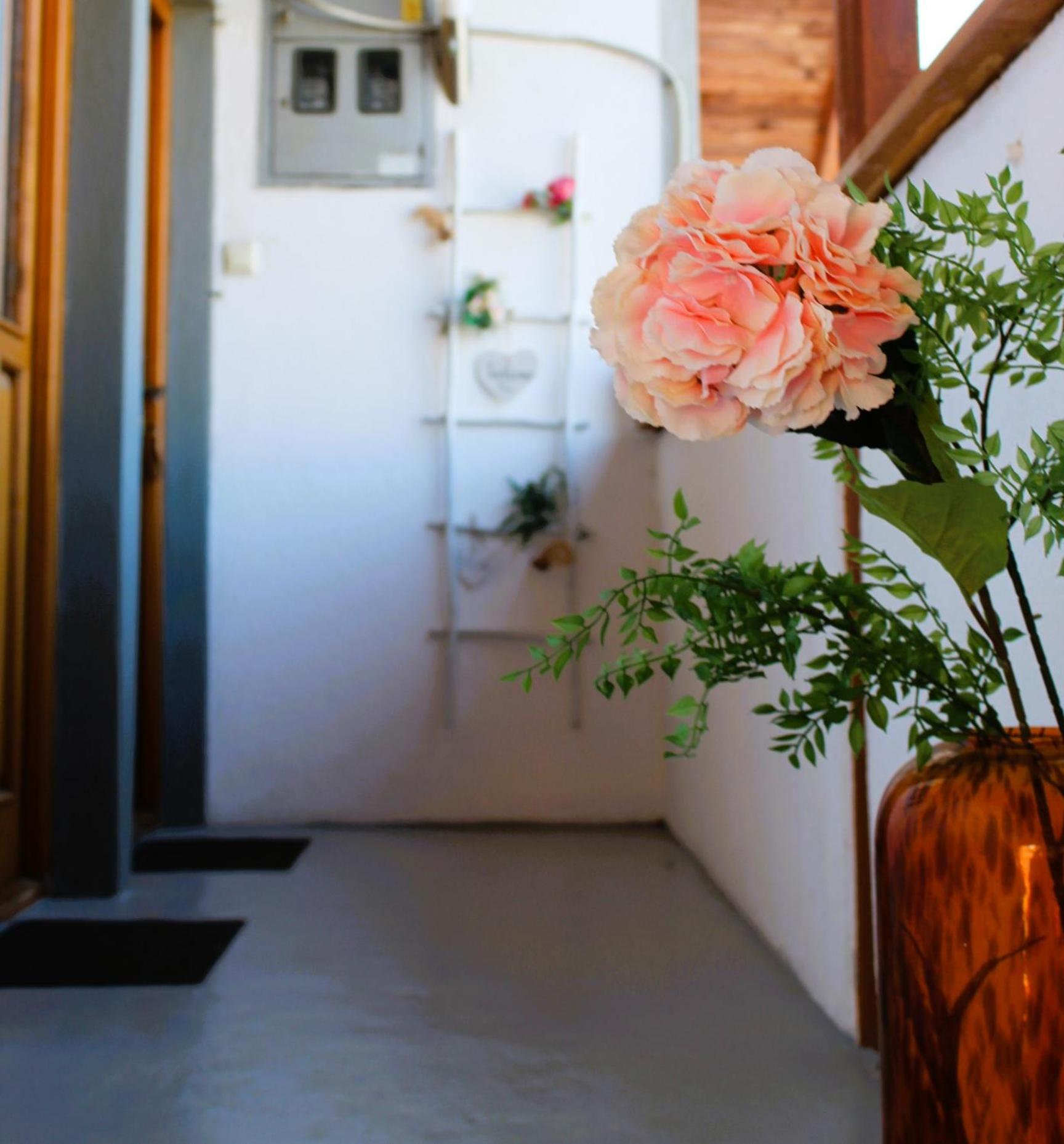 Svila Apartmani Bihać Exteriér fotografie
